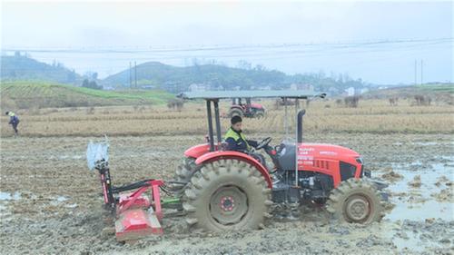 邻水县：人勤春来早  春耕备耕忙