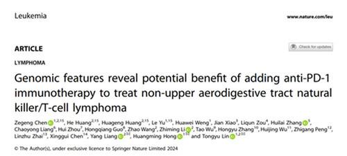 四川省肿瘤医院林桐榆、洪煌明教授团队开辟罕见淋巴瘤亚型治疗新路径