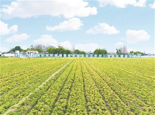 青神县：探索改革新路径 释放农村新活力