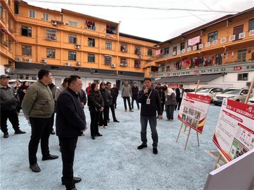 成都东部新区石板凳街道：人勤春早争朝夕 策马扬鞭开新局