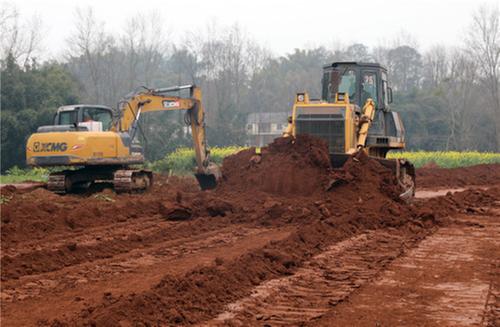 丹棱县：人勤春早 万象“耕”新