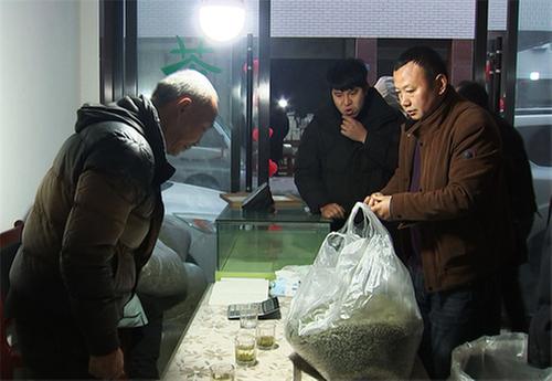 洪雅县：春茶飘香 交易市场迎来头茶交易热