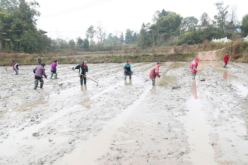 恒升镇：人勤春早 整田备耕忙