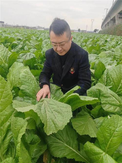 扎根沃土耕耘  他有别样做法