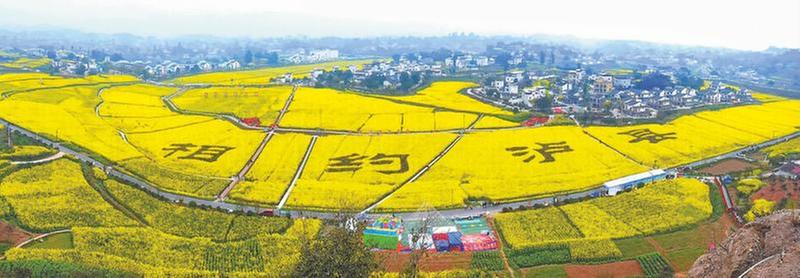 相约花海 定格美好