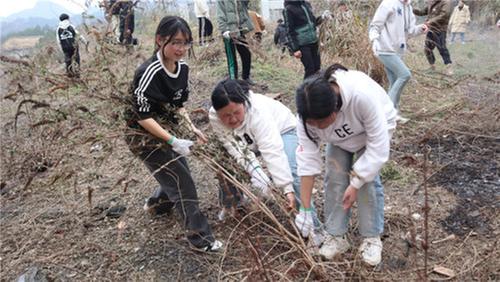 南江县桥亭九义校开展“美化校园我参与”活动