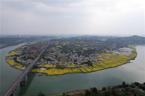 东兴区：油菜花开春光美