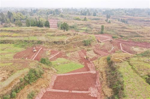 恒升镇：春耕备耕热