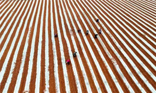 仁寿县：奏响春耕“协奏曲” 绘就沃野好“丰”景