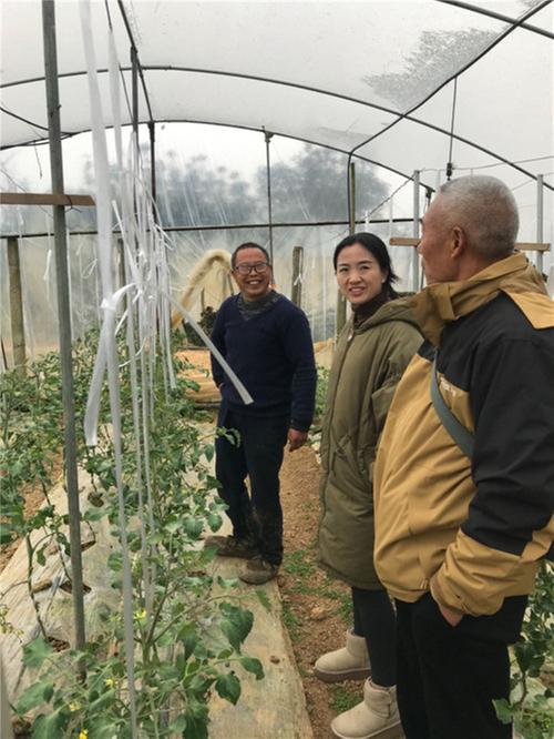 东坡区:转换种植思路 蔬地里抱“金娃”