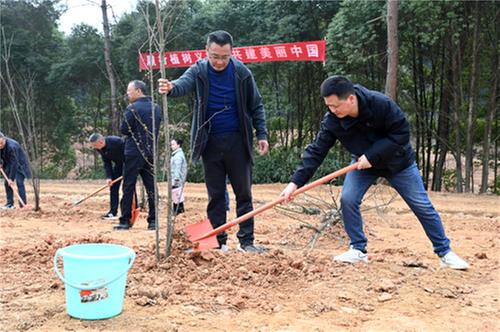 东兴区：义务植树添新绿