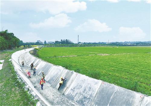 青神县：城乡供水一体化  竹乡清泉润万家