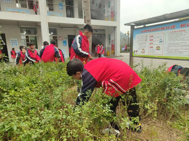 南江县沙河镇小学开展“青锋绿动”义务植树系列活动