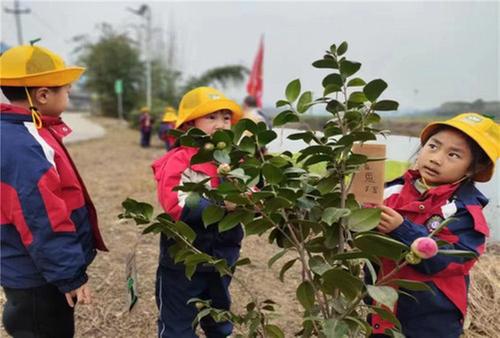 青神县：“植”此青绿  不负春光