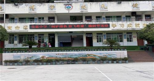 高塔镇金盆小学开展校园植树种绿活动