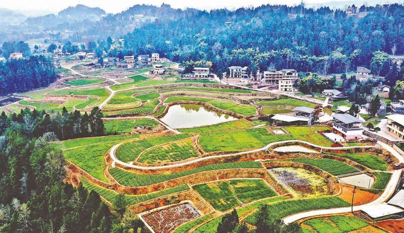 高标准农田改出“新丰景”