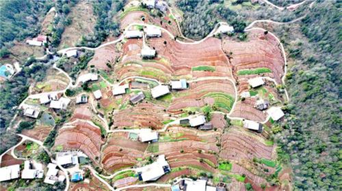 南江县:绘就龙年好“丰”景