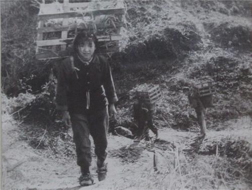 洪雅县：逐绿前行 “景”更美