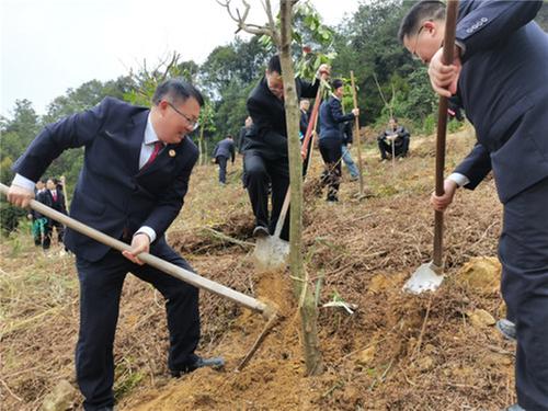 川渝司法：履行植树义务 共建绿色生态