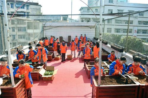 巴州区三小劳动教育实践基地开园