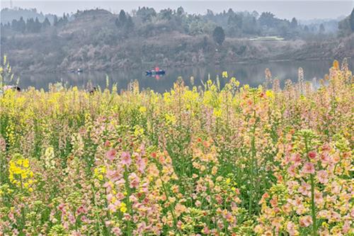 武胜县万善镇第二届风筝旅游节暨沙滩音乐节开幕