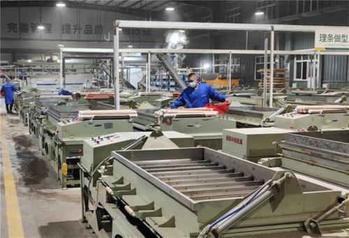 洪雅县：茶企抢制名优茶