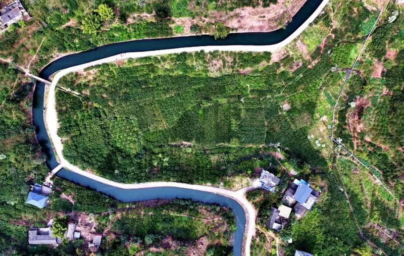 仁寿：“活水”润良田  护航春灌保春耕