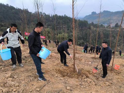 邻水县开展义务植绿活动推动绿美乡村生态建设