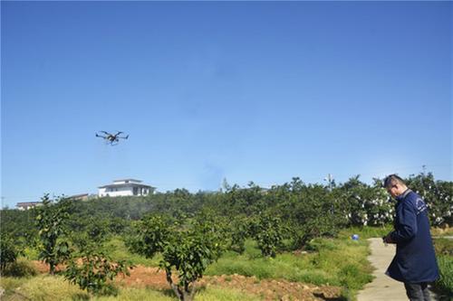 丹棱县：智能农机上天 现代农业落地