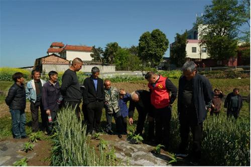 夹江县开展土烟种植技术培训活动