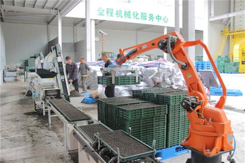 科技赋能！洪雅县综合农事服务中心开启水稻智能化育芽播种