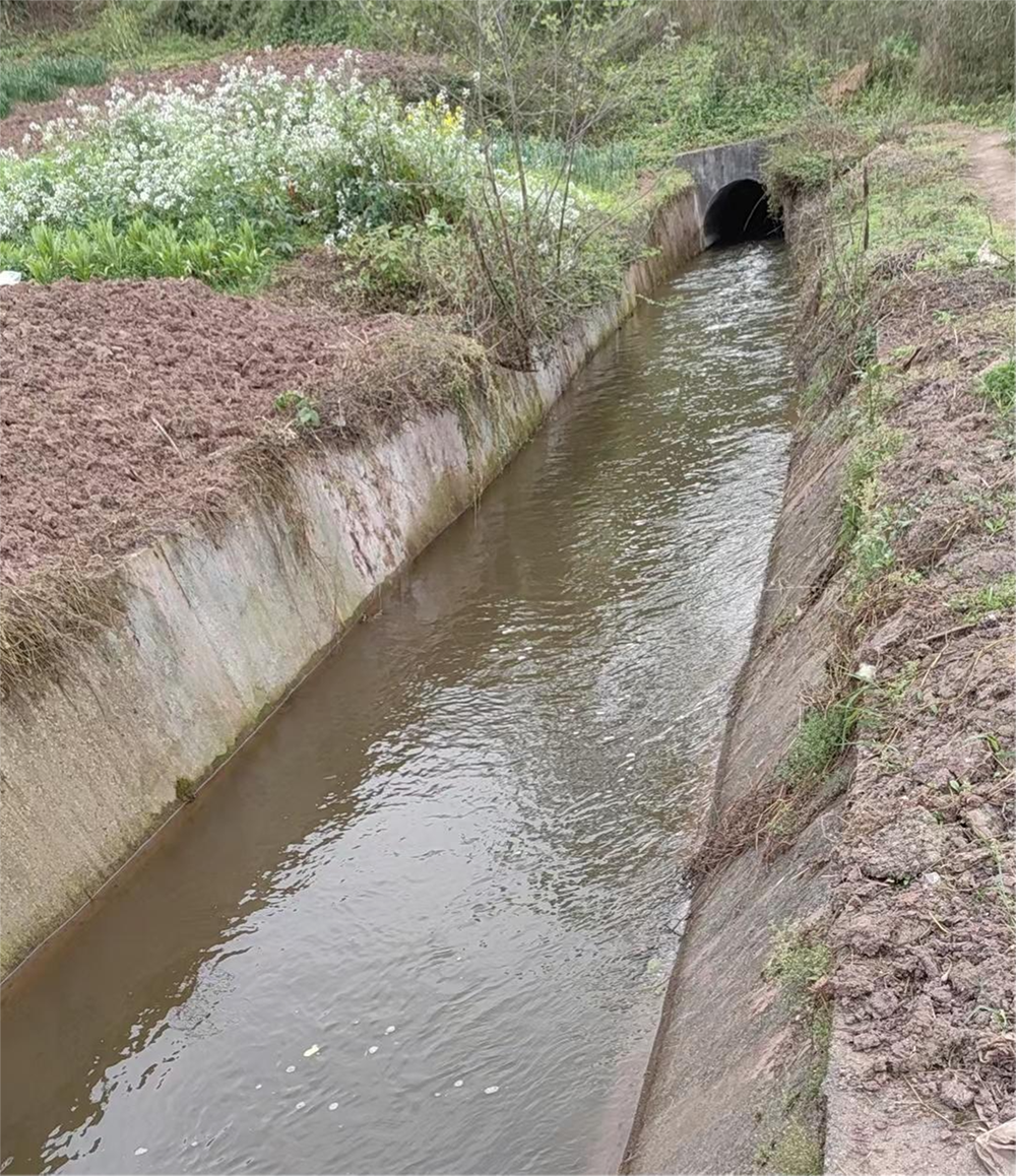 广安区：保障七一水库尾渠段灌区用水需求