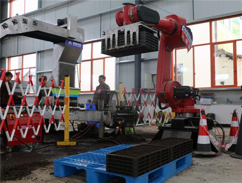 秧苗乘坐“过山车” 不误农时不负春