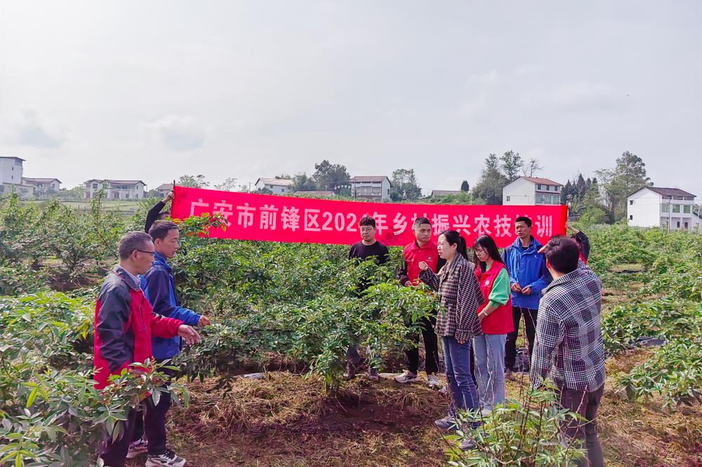 前锋区开展2024年乡村振兴农技培训