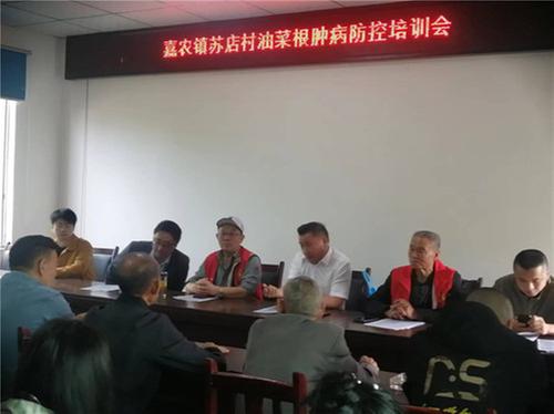 沙湾区老科协到嘉农镇苏店村开展农作物根肿病防治培训