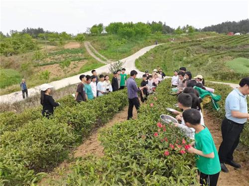 南江县长赤镇红顶九义校开展踏春研学活动