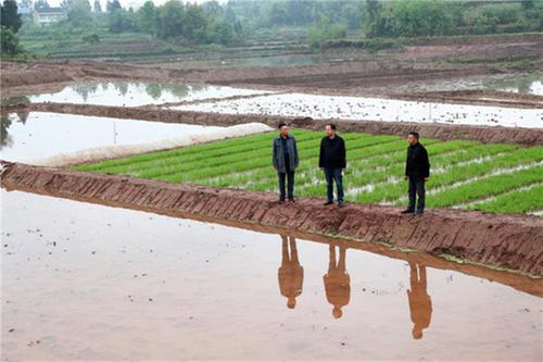 广安区多措并举为春耕“保驾护航”