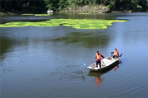 内江市：春日护碧水