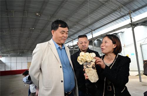 东兴区：科技服务赋能蚕桑产业