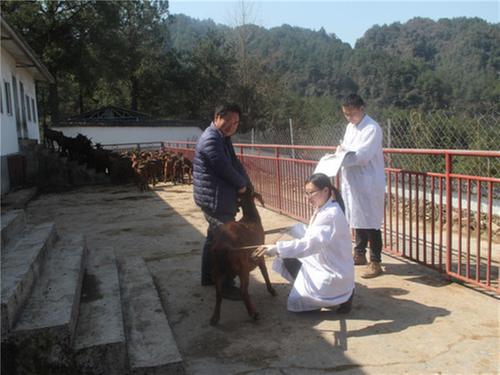 南江何林芳入选第五届四川“最美科技工作者”