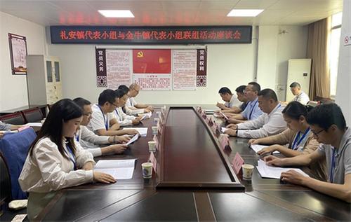 武胜县乡人大代表到礼安镇调研乡村振兴工作