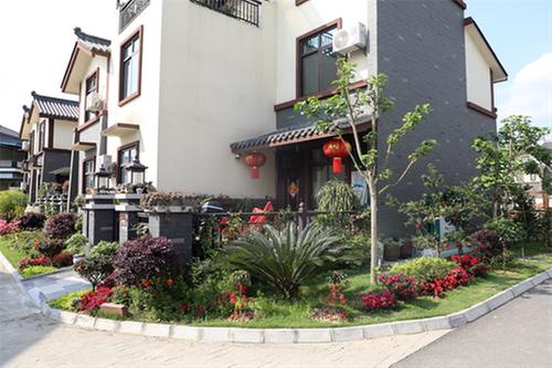 丹棱县：“四园”齐妆点 乡村焕新颜