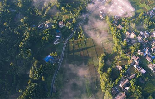 洪雅县：交旅融合“蹚”新路 “绿美交通”景象新