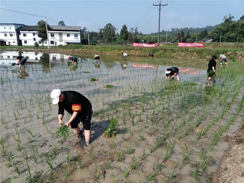 万象“耕”新 快乐有“稻”