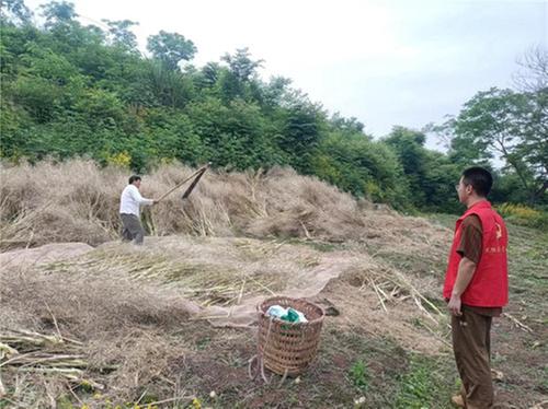 烈面镇：强化秸秆禁烧宣传 守护蓝天净土