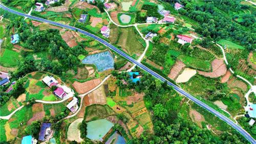 仁寿县：“三条道路”为乡村振兴美丽画卷添彩