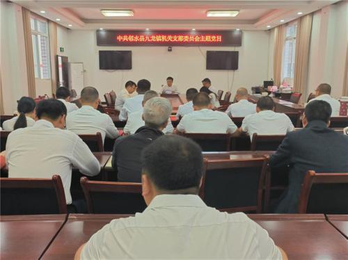 九龙镇机关支部和青年人才支部开展主题党日活动