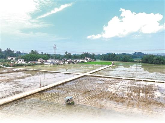 青神县：建设新时代更高水平“天府粮仓”  擘画竹乡现代化春耕壮美图景