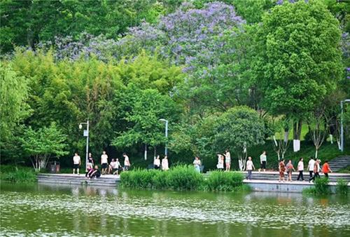 仁寿县：出门见景 初夏公园美如画