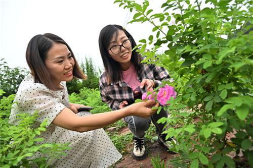 内江市东兴区：校地合作推动产教研融合发展